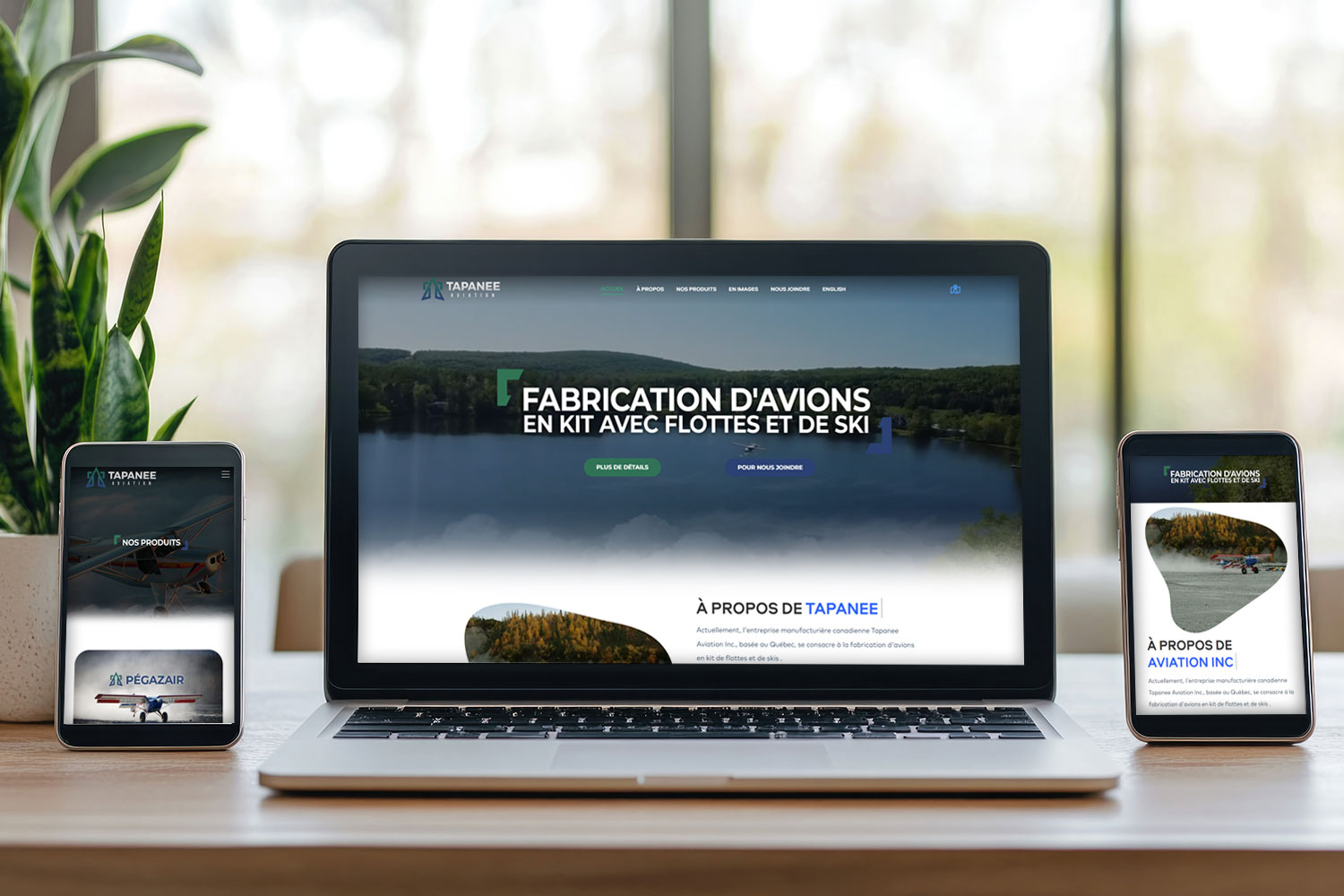 TAPANEE FABRICATION D'AVIONS